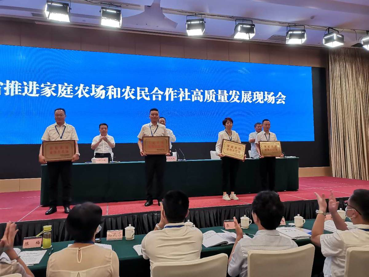 图片111111111111.png